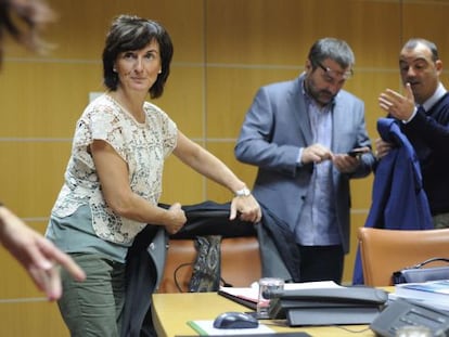Maite Iturbe se dispone a intervenir ante la comisión del Parlamento.