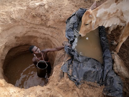 A Samburu man gives cows water in Kom village, Samburu County, Kenya, Oct. 15, 2022.
