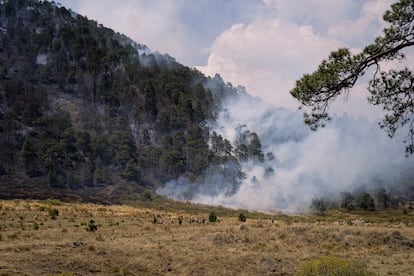 La ruta de los peregrinos atraviesa una zona boscosa en la que son comunes los incendios forestales en esta época del año.
