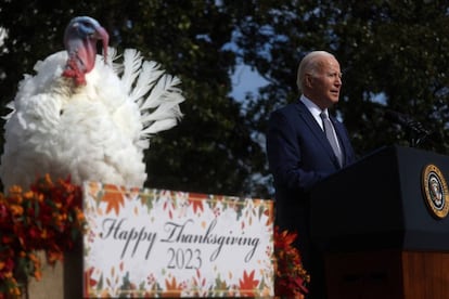Liberty, pavo indultado por Joe Biden por el Día de Acción de Gracias, el día 20 en la Casa Blanca.