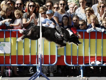 Un perro policía salta por un aro durante la exhibición.