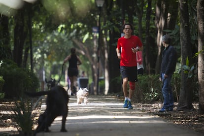 La gran cantidad de &aacute;rboles que se encuentran a lo largo de su camell&oacute;n as&iacute; como su trazo ovalado hace que avenida &Aacute;msterdam sea un lugar muy utilizado por los vecinos para ejercitarse.