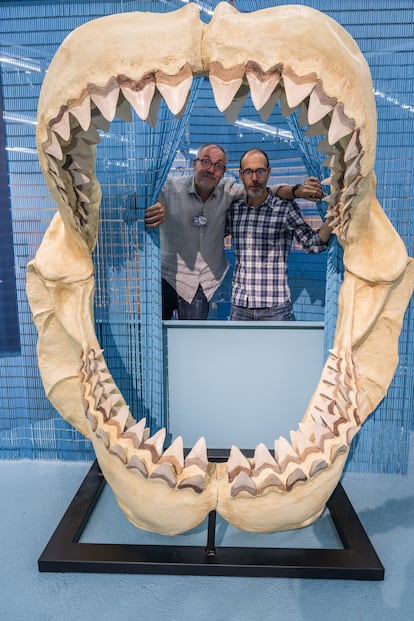 The commissioners of 'invisible animals' Jordi Serrallonga (left) and Gabi Martínez, in the megalodon jaw of the exhibition.