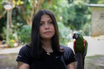 "Venezuela es uno de los países con mayor biodiversidad del planeta y Caracas es una capital llena de bosques, llena de árboles, llena de montañas y hay mucha biodiversidad propia de nuestra ciudad", ha explicado Marquís durante una entrevista a Efe. En la imagen, la veterinaria a las afueras del refugio dedicado a la fauna silvestre.