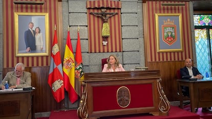 La alcaldesa de Burgos, Cristina Ayala, en el pleno celebrado este viernes.