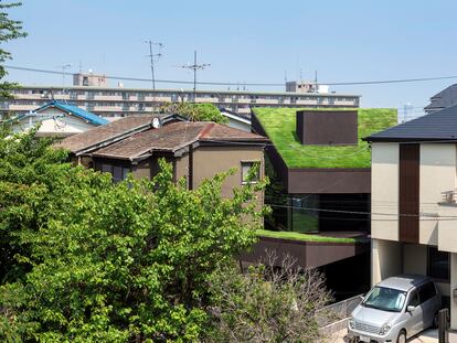 Un jardín en casa