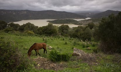 Finca La Almoraima, en Castellar de la Frontera.