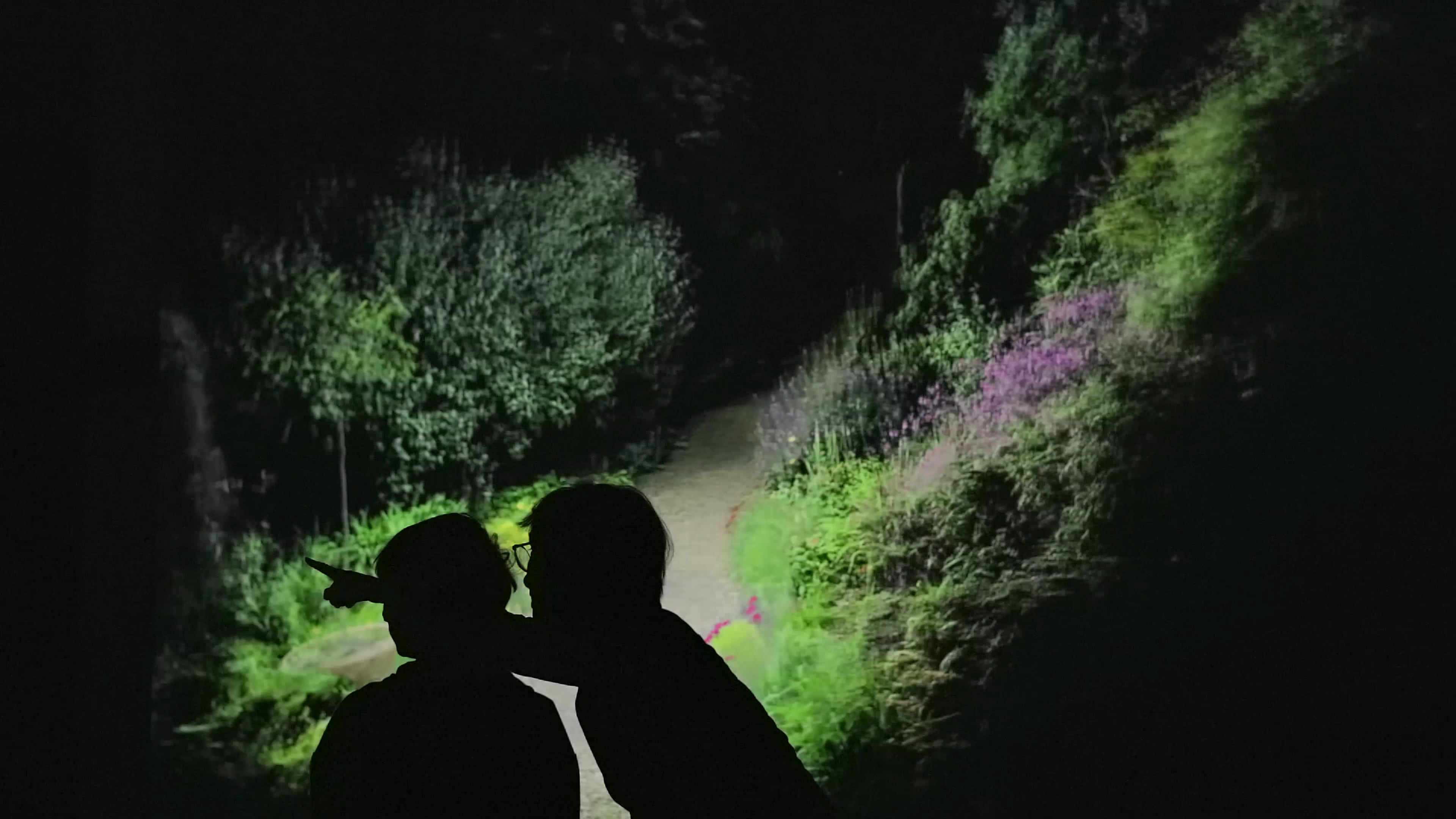 Una de las escenas que puede verse en la instalación inmersiva de 'Framerate: Pulse of the Earth (El pulso de la Tierra'.