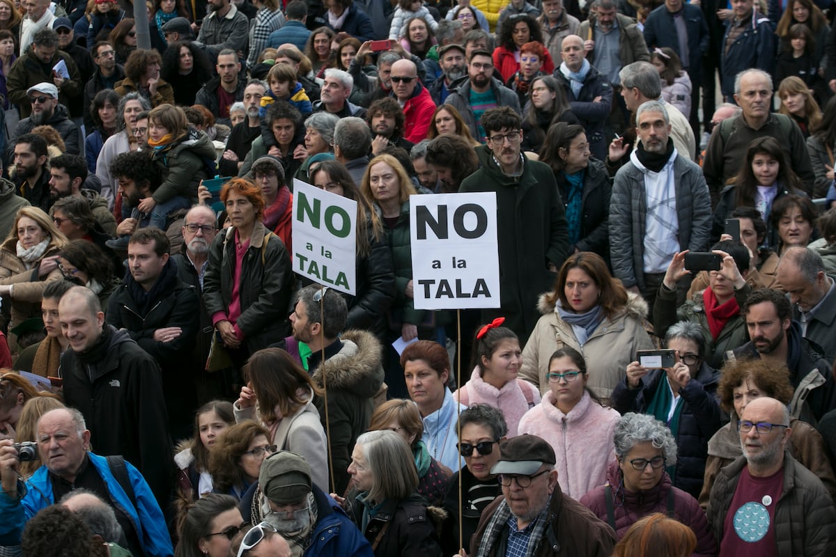 El ‘no’ a la tala de los árboles por la línea 11 del metro de Madrid ...