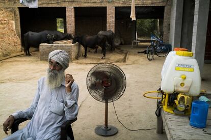 Gurmar Singh, de 67 años, descansando en su casa, en la localidad agrícola de Mari Mustafa (Punyab, India).