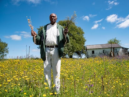 Don Umberto, muestra algunas de las plantas medicinales que ha cosechado en su huerta en una quilombola del sur de Brasil.