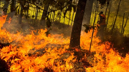 Incendio forestal en Rianxo, A Coruña.
