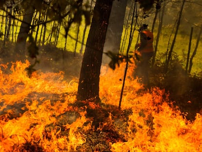 Incendio forestal en Rianxo, A Coruña.