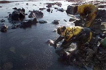 Alumnos de la Academia Naval de Marín recogían ayer petróleo en la playa de Canesol, en la isla de Ons.