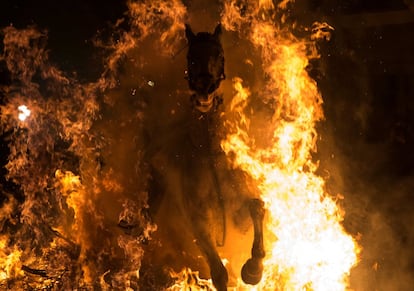Las grandes llamas procedentes de las hogueras realizadas con las escobas y piornos recogidos en los días previos a la fiesta rodean a los caballos y a sus jinetes.