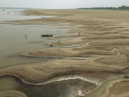 Habitantes de Manacapuru, en Manaos (Amazonas brasileño), caminan sobre las diezmadas aguas del río Solimões.