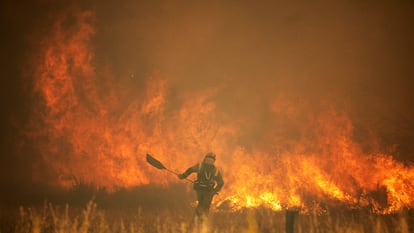 Efectivos de bomberos durante el incendio de la Sierra de la Culebra, a 18 de junio de 2022, en Zamora, Castilla y León (España).
