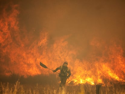 Un bombero trabajaba el 18 de junio en la extinción del incendio de la sierra de la Culebra (Zamora).