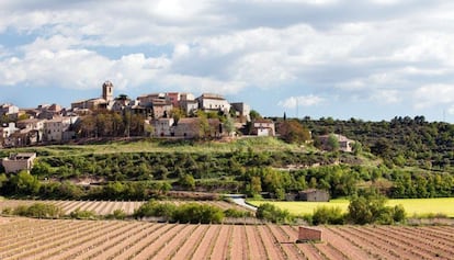 <b>Nàlec.</b> Situat a la riba esquerra del riu Corb, Nàlec és el poble més petit de la comarca de l’Urgell, amb un centenar d’habitants i 107 cases. Ple de racons amb encant, l’església de Sant Jaume, datada de finals del segle XVIII, corona el turó sobre el qual reposa el municipi. Entre les petites descobertes que ofereix un passeig pels carrers del municipi destaca la font dels amics de Nàlec, construïda amb restes de pedra d’un antic molí d’oli. Entre Nàlec i Ciutadilla hi ha el salt d’aigua conegut com la Peixera, on l’aigua cau per una paret de quatre metres d’alçada i 40 metres d’amplada. El petit municipi també amaga diverses cabanes de volta, construccions del segle XX que utilitzaven els pagesos per resguardar-se de les inclemències del temps.