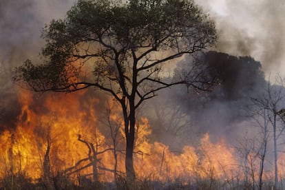 Un fuego provocado por pastores en Rep&uacute;blica Centroafricana para despejar terreno para sus animales. 