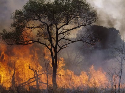 Un fuego provocado por pastores en Rep&uacute;blica Centroafricana para despejar terreno para sus animales. 