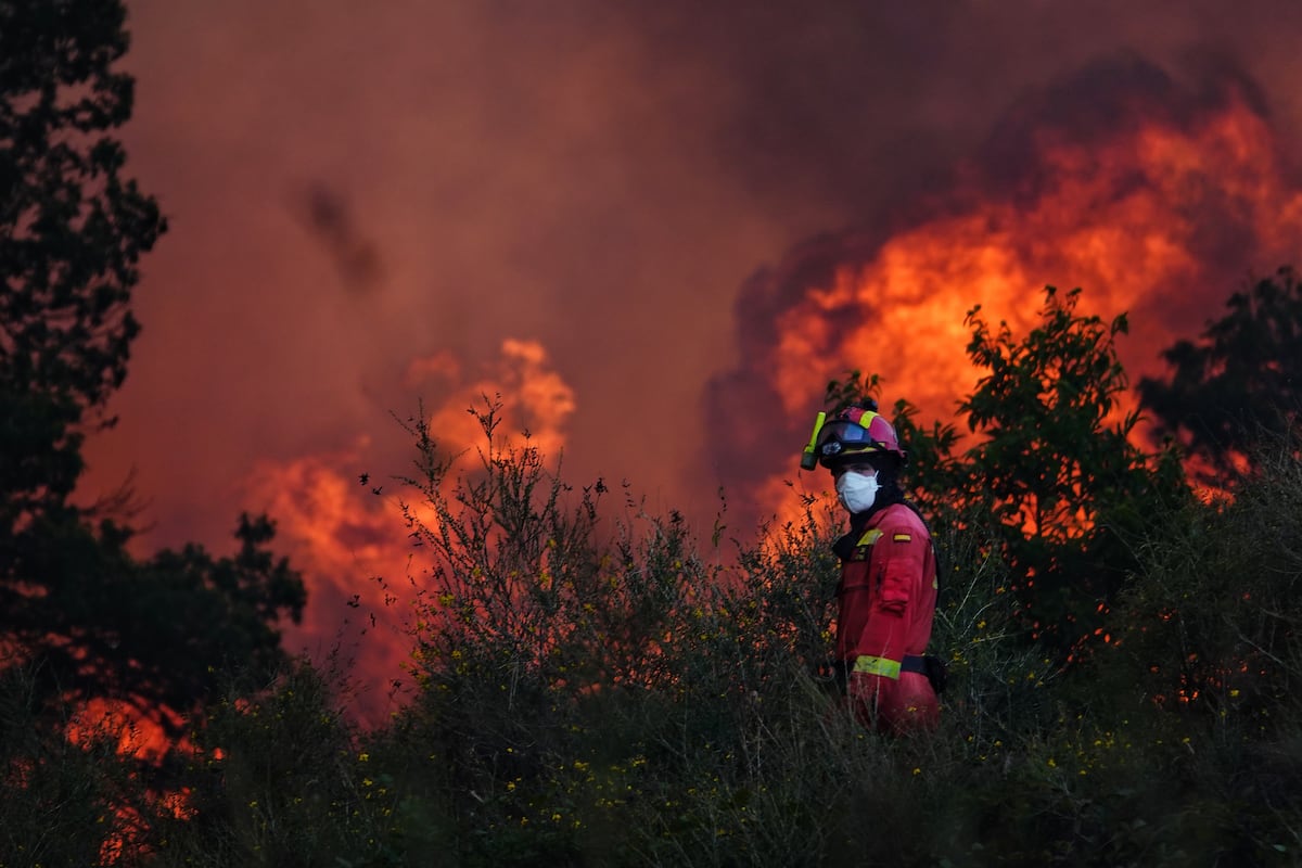 El Gobierno fija las directrices para que las autonomías elaboren los planes preventivos contra el fuego | Clima y Medio Ambiente