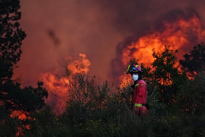 Un bombero en el incendio del Anllarinos del Sil, en León, el 21 de agosto.