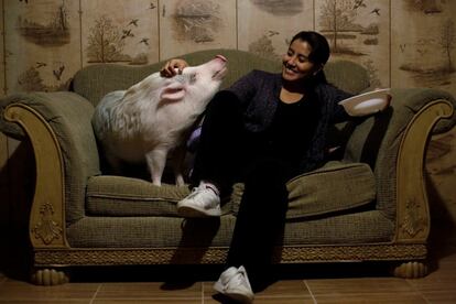 Una mujer comparte sofá con su cerdo 'Balu' en Ciudad Juárez (México), el 4 de diciembre de 2017.