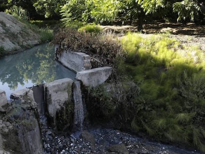 Vertido de aguas residuales al arroyo Mortaja en Coín (Málaga). 