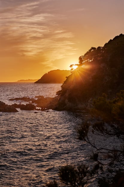 El mar, omnipresente en cualquier lugar de la casa y sus exteriores.
