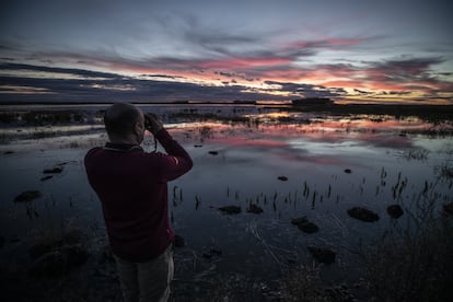 El agente medioambiental, Juan Felipe, observa las aves durante el atardecer.