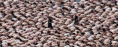 Una panorámica de la plaza de la capital mexicana repleta de personas desnudas.