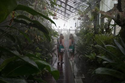 Interior de uno de los invernaderos del Jardín Botánico.