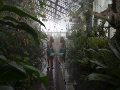 Interior de uno de los invernaderos del Jard&iacute;n Bot&aacute;nico.