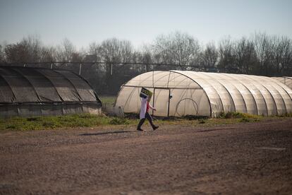  Greenhouses at the Institute of Sustainable Agriculture of Córdoba.
