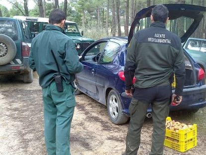 Decomiso de setas en Soria.