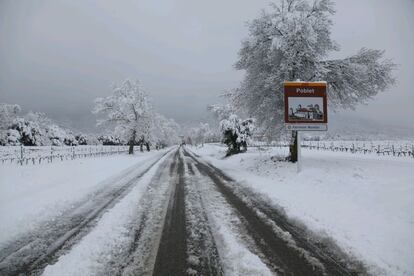 Paisaje nevado en Poblet, Tarragona.