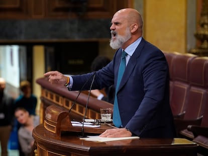 El diputado de Vox Víctor Sánchez del Real, durante su polémica intervención en el pleno del Congreso, el pasado jueves.