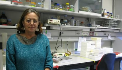 Isabel García Luque, en su laboratorio del Centro de Investigaciones Biológicas.