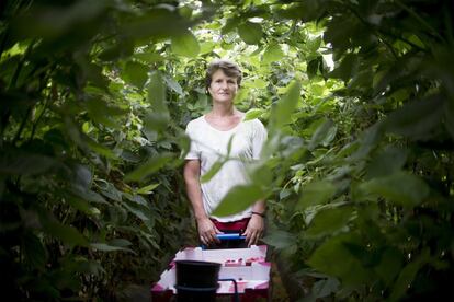 Neagu Florikka, es una mujer Rumana que lleva más de 12 años recogiendo fruta en distintas fincas de Huelva.
