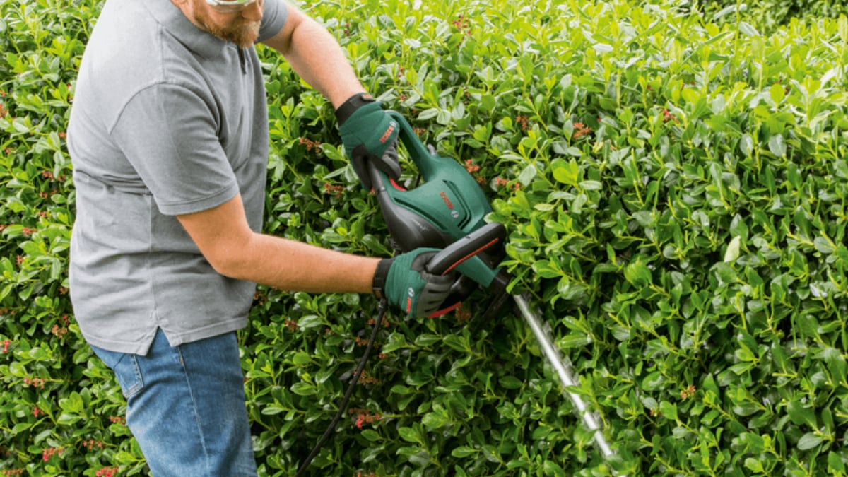 Amazon arrasa con el cortasetos eléctrico ideal para poner a punto el jardín en verano