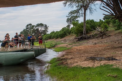 Situados en la proa del barco, un grupo de turistas toma fotografías de un cocodrilo que está descansando en la orilla. "Botsuana tiene muchos años de experiencia en la protección, cuidado y convivencia con elefantes y otras formas de vida salvaje, es un punto importante y debe mostrar cómo lo están haciendo", opina Ellison Wright, coordinador del Programa Global de Vida Salvaje del Banco Mundial.