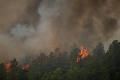 En la imagen, bosques quemados en Tarragona, julio de 2025.