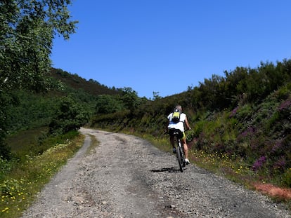 Un ciclista sube por una pista de pronunciada pendiente en el Parque Natural de Fuentes del Narcea, Degaña e Ibias.