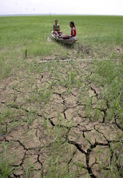 La sequía está afectando gravemente a la Amazonía brasileña.
