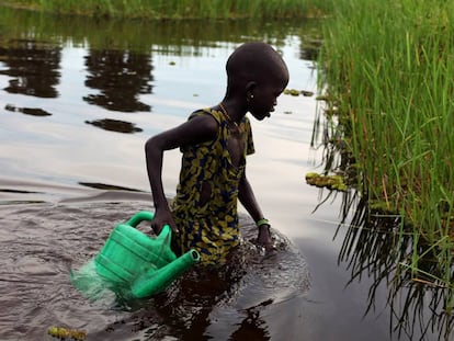 Una chica desplazada interna recoge agua en Sudd Swamp (Sudán del Sur). 