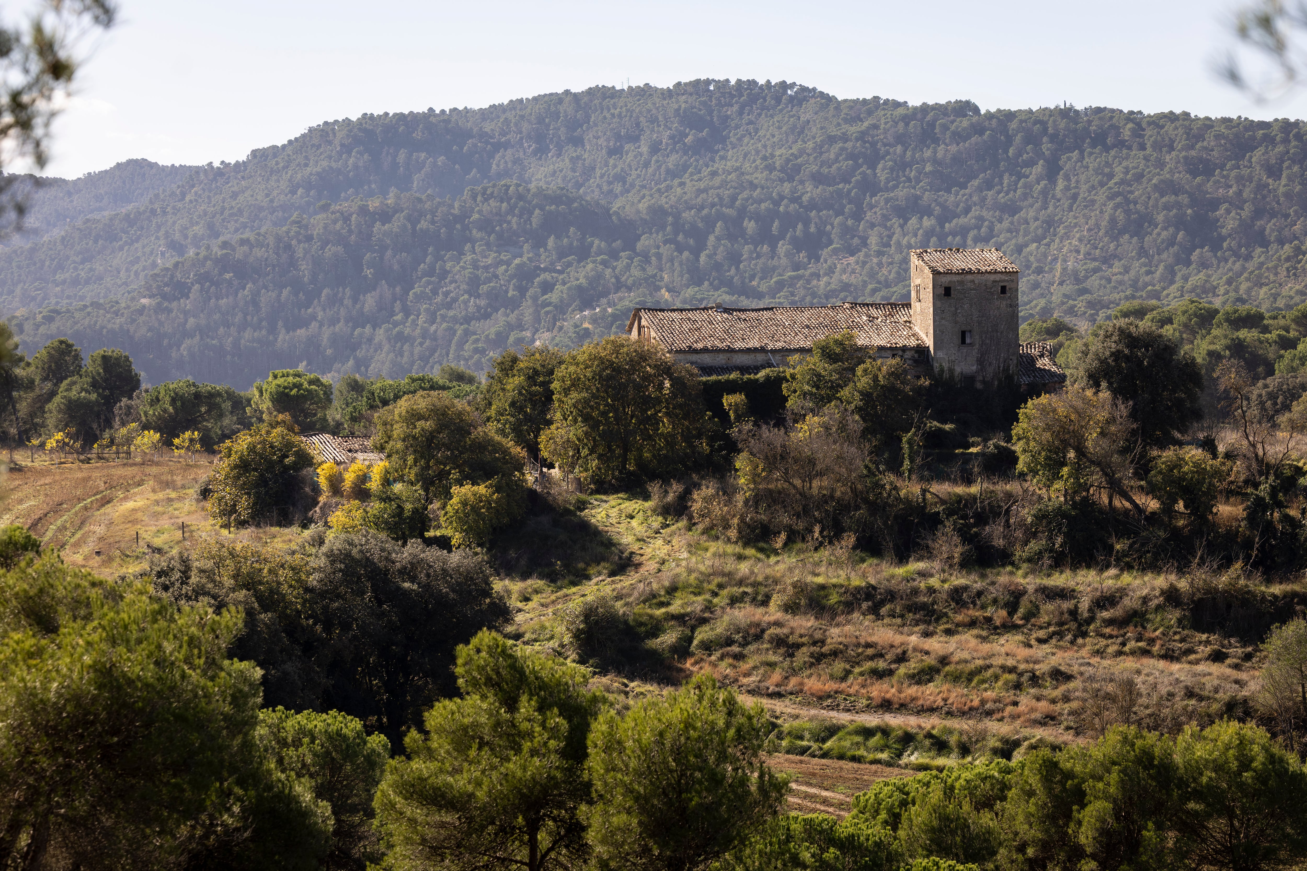 La comunidad china echa raíces con el primer cementerio ‘feng shui’ de España: “No quiero enterrar a mi padre en China”