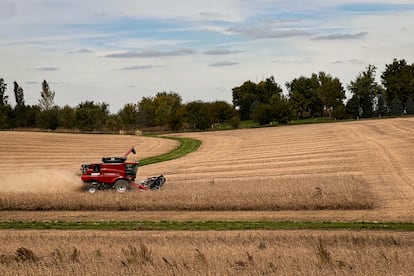 Un tractor cosecha en una granja cerca de Des Moines (Iowa).