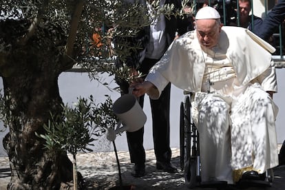 El Papa riega un olivo durante su visita a Cascais, dentro de la Jornada Mundial de la Juventud de Lisboa. 
