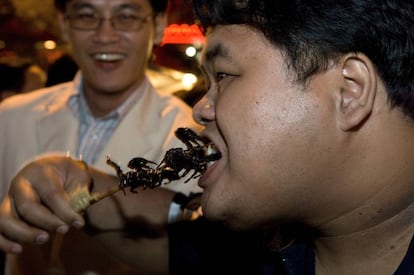 Comiendo escorpiones en Pekín.
